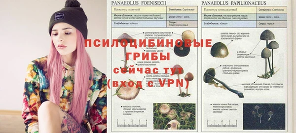 ALPHA-PVP Михайловск