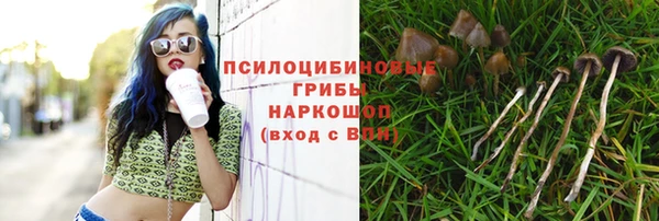винт Надым