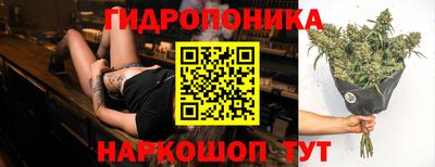 круглые Бийск