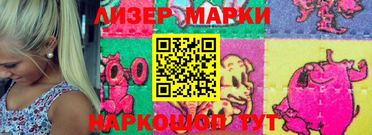 МЕФ Тавда