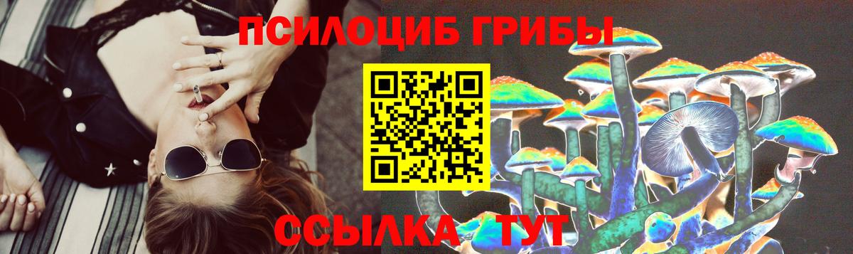 Галлюциногенные грибы Cubensis Тавда