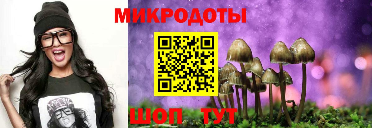 Галлюциногенные грибы GOLDEN TEACHER  Вход с VPN  Тавда 